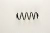 PEUGE 5102S6 Coil Spring